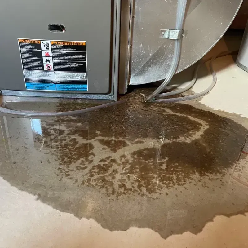 Appliance Leak Cleanup in Kathleen, FL